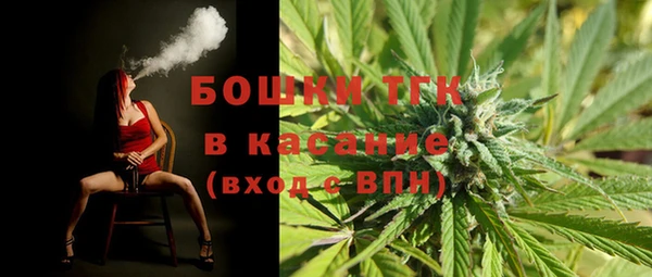 гашик Снежинск