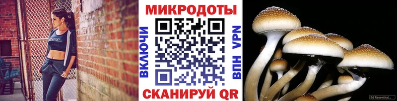 Псилоцибиновые грибы Magic Shrooms  Заозёрный 